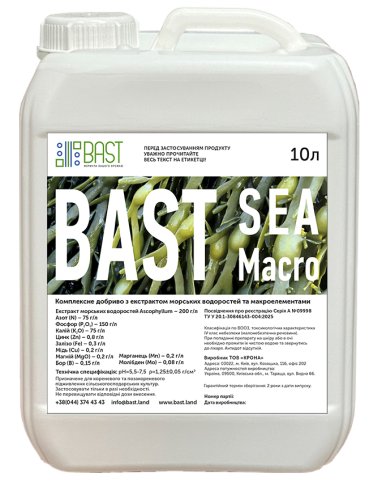 БАСТ Сіа Макро